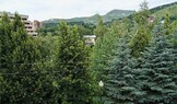 Фотография Двухкомнатный «Люкс» (без балкона) в Пансионат «Мечта»(Кисловодск) Фотография Двухкомнатный «Люкс» (без балкона) в Пансионат «Мечта»(Кисловодск)