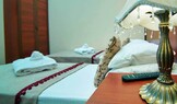 Фотография Двухместный 1-комнатный «Стандарт» 1 категории в Санаторий «Белая дача»(Кисловодск) Фотография Двухместный 1-комнатный «Стандарт» 1 категории в Санаторий «Белая дача»(Кисловодск)