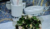 Фотография Люкс Золотой 3-комнатный 4-местный с кухней в Санаторий «Целебный Нарзан»(Кисловодск) Фотография Люкс Золотой 3-комнатный 4-местный с кухней в Санаторий «Целебный Нарзан»(Кисловодск)