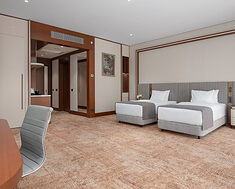 Фотография Делюкс Элегантный с двумя кроватями в Санаторий «Источник»(Кисловодск)