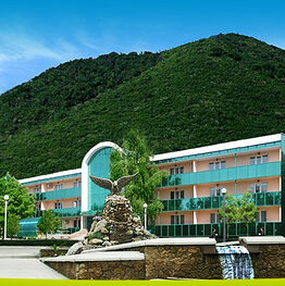 Санаторий «Лесной» в Железноводске