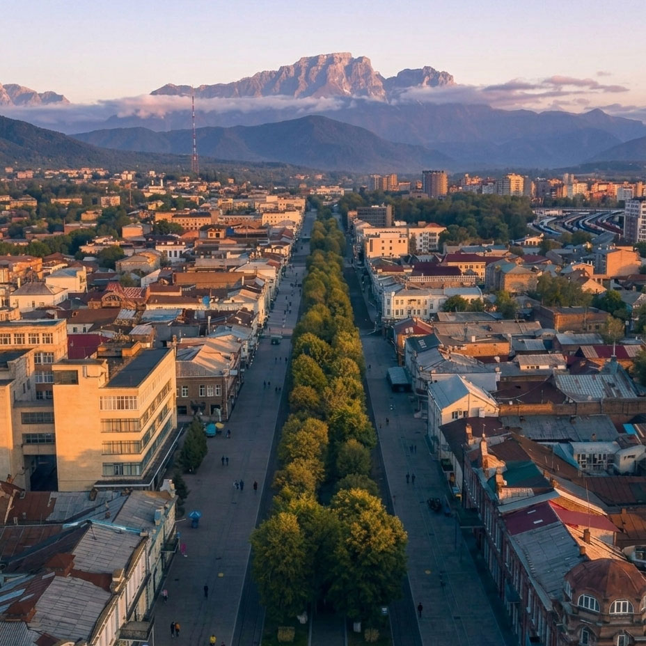 Поездка во Владикавказ
